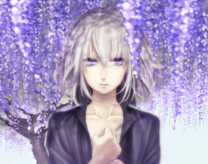 Обои на рабочий стол Honebami Toushirou / Хонэбами Тоширо стоит на фоне цветущей глицинии, из игры Тouken Ranbu / Танец мечей