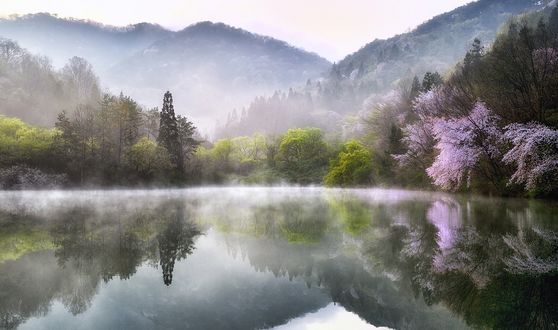 Обои на рабочий стол Весенний пейзаж, фотограф KIM SUK EUN