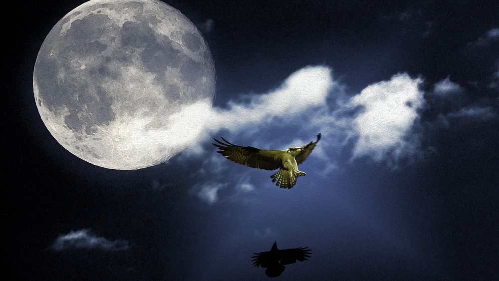Обои для рабочего стола Орел летит отражаясь в воде, на фоне неба с белыми облаками и полной Луной