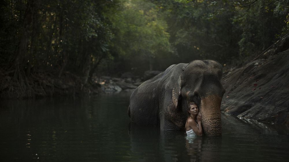 Обои для рабочего стола Девушка прижалась к слону, стоящему в воде