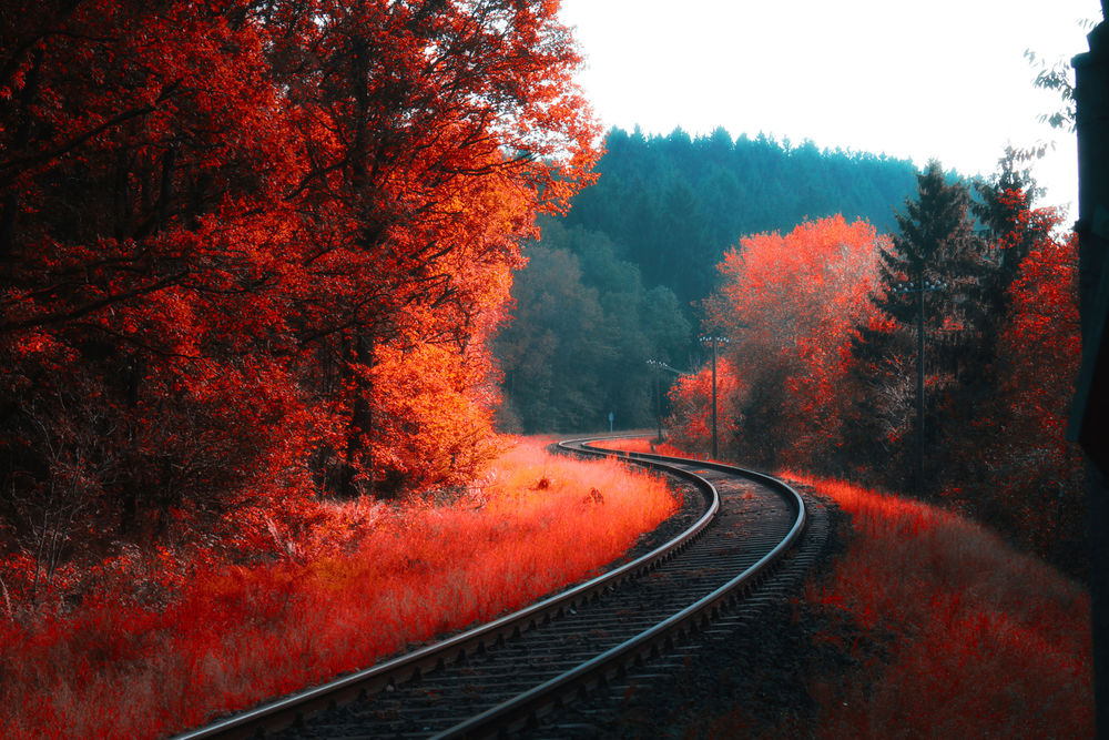 Осенняя Железная Дорога Фото