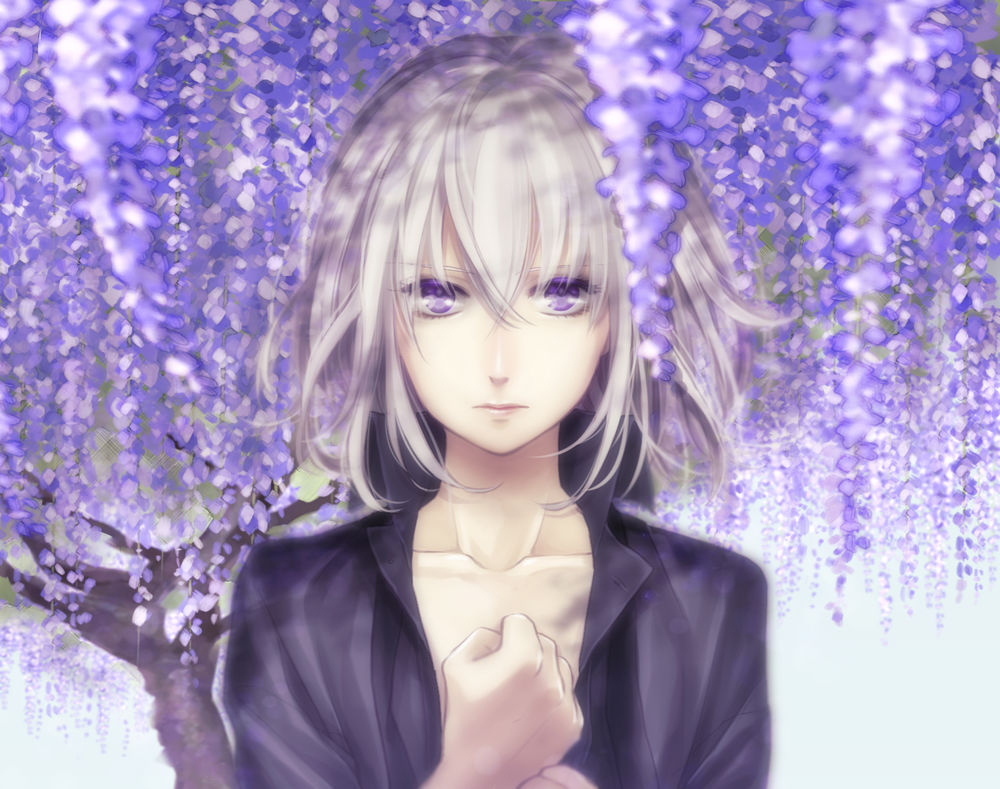 Обои для рабочего стола Honebami Toushirou / Хонэбами Тоширо стоит на фоне цветущей глицинии, из игры Тouken Ranbu / Танец мечей