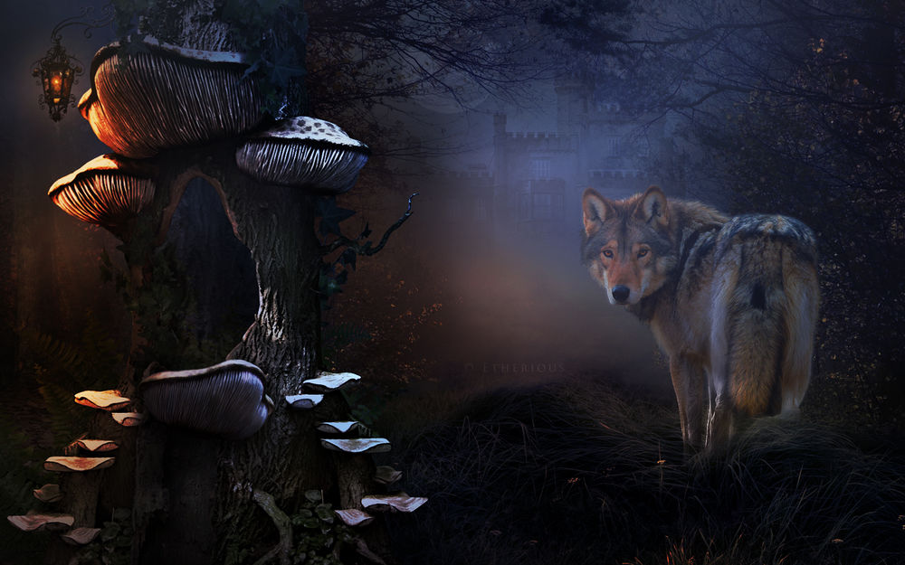Обои для рабочего стола Волк стоит в траве у поросшего огромными грибами дерева, на котором горит фонарь, вдали виднеется замок, by Etherious