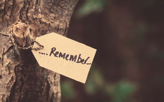 Обои на рабочий стол Записка на дереве с надписью Помни / Remember