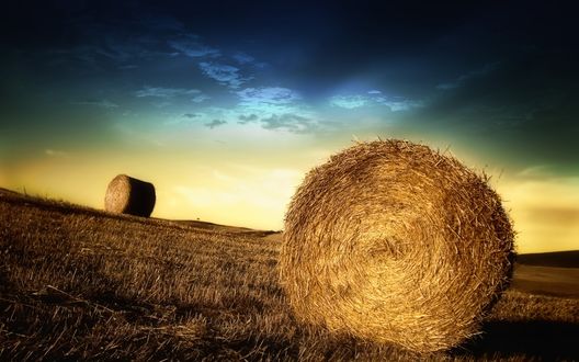Обои на рабочий стол Копны соломы на скошенном поле