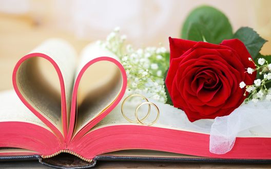 Обои на рабочий стол Красная роза и обручальные кольца лежат на книге, страницы которой завернуты в сердечко