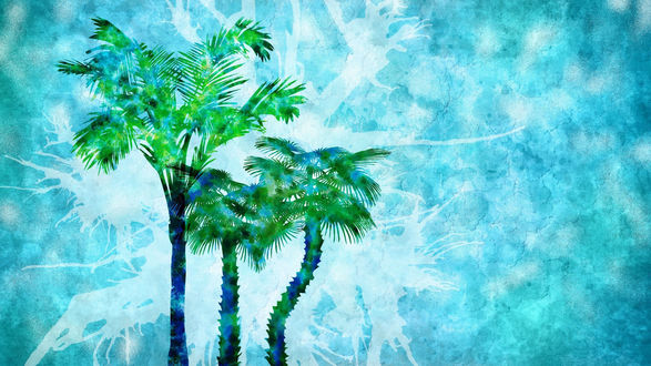 Пальма на голубом фоне