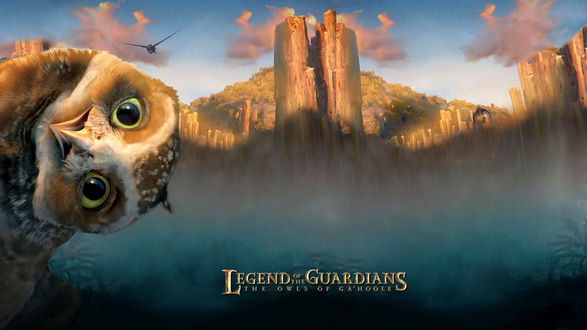 Обои на рабочий стол Сова - персонаж мультфильма Легенды ночных стражей / Legend of the Guardians: The Owls of GaHoole / выглядывает из-за пределов обложки к мультфильму