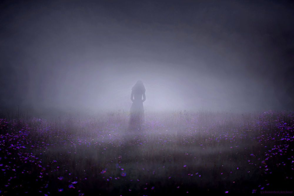 Обои для рабочего стола Девушка идет в тумане по полю цветущих фиолетовых цветов