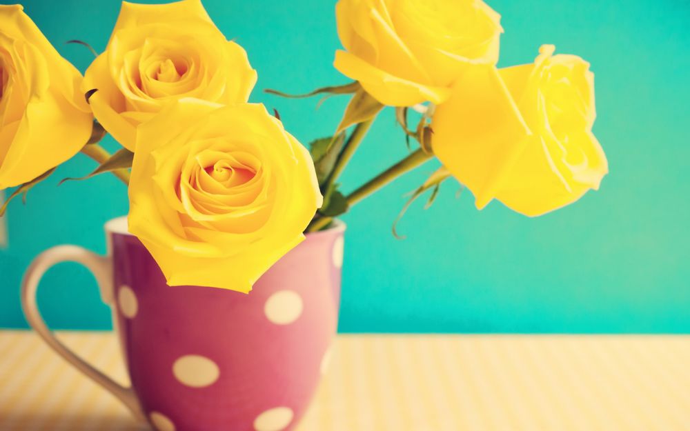 Обои для рабочего стола Желтые розы стоящие в розовой кружке, на столе