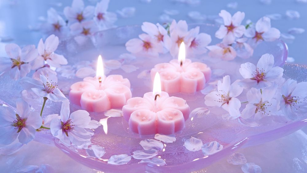 Обои для рабочего стола Цветки сакуры и горящие свечи