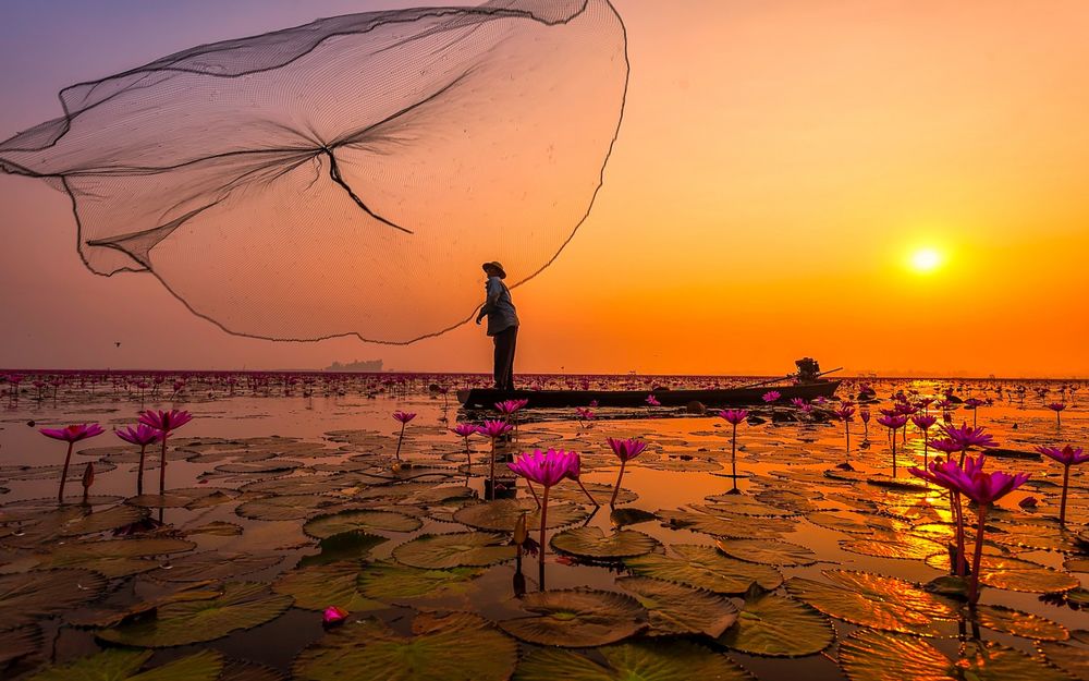 Обои для рабочего стола Таиланд, рыбак стоящий в лодке запускает в озеро сеть