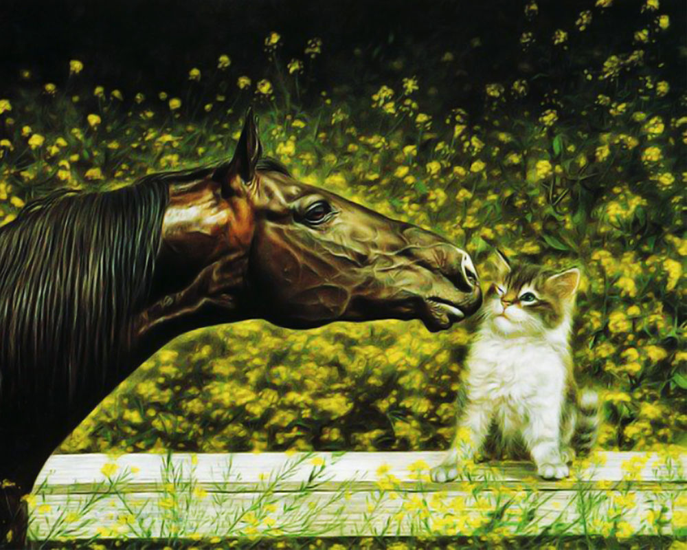 Обои для рабочего стола Друзья, лошадь и котенок (художник Lesley Harrison)