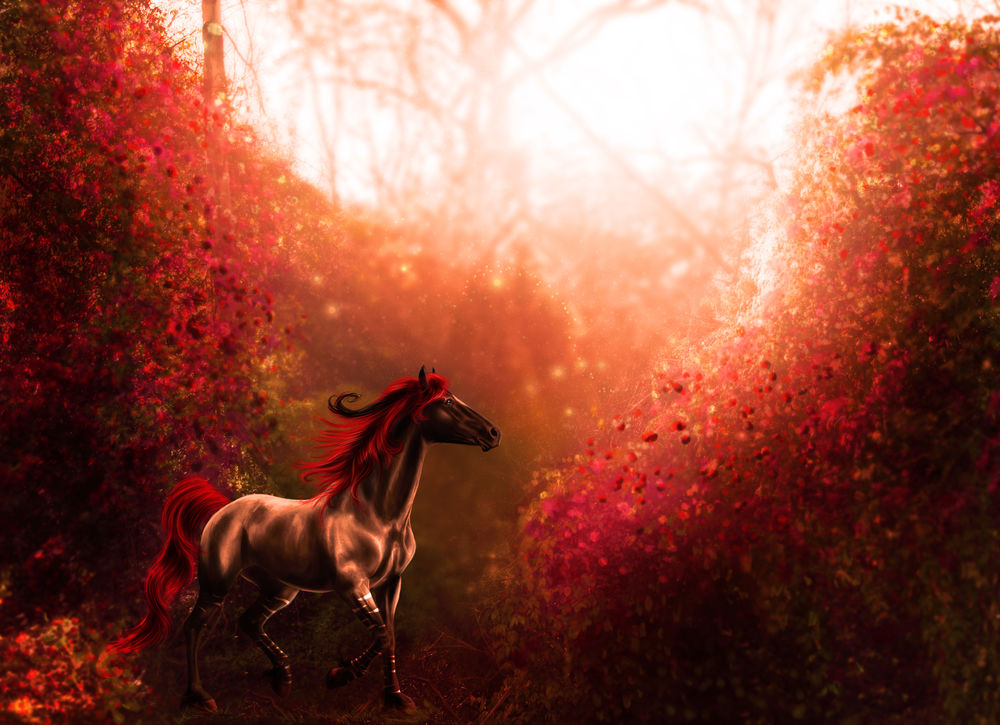 Обои для рабочего стола Лошадь с красной гривой скачет среди деревьев в странном лесу
