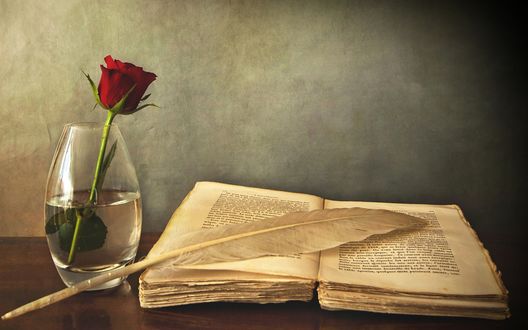 Обои на рабочий стол Бокал с розой возле книги с пером