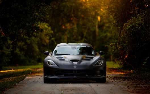 Обои на рабочий стол Додж Вайпер / Dodge Viper на лесной дороге с опавшей листвой