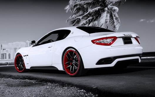 Обои на рабочий стол Maserati на дороге на фоне пальмы