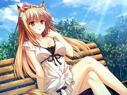 Обои на рабочий стол Miyama Kon / Мияма Кон сидит на лавочке в парке, персонаж из игры - визуальной новеллы Otomimi Infinity, art by Yasaka Minato
