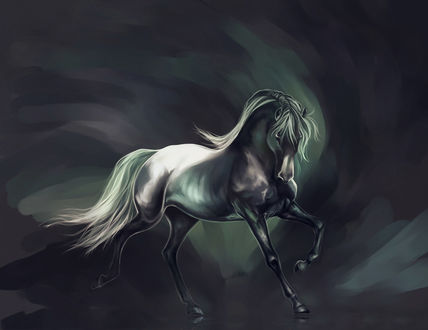 Обои на рабочий стол Красивая лошадь, by Elsouille