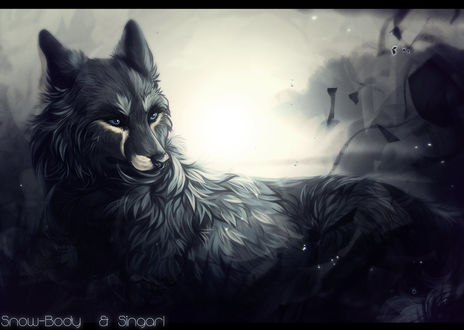 Обои на рабочий стол Волк с голубыми глазами, by Snow-Body