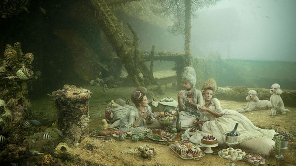 Обои на рабочий стол Дамы на пикнике с собачками под водой, фотографа Андреас Франке / Andreas Franke