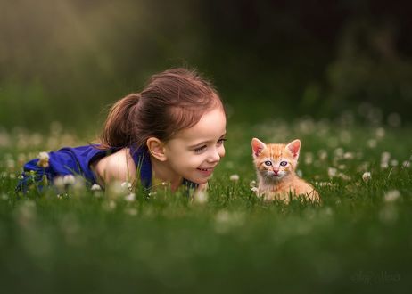 Обои на рабочий стол Девочка лежит на траве рядом с котенком, Suzy Mead
