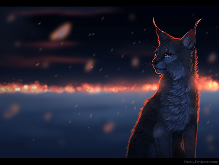 Обои на рабочий стол Симпатичный рысь, by Daesiy