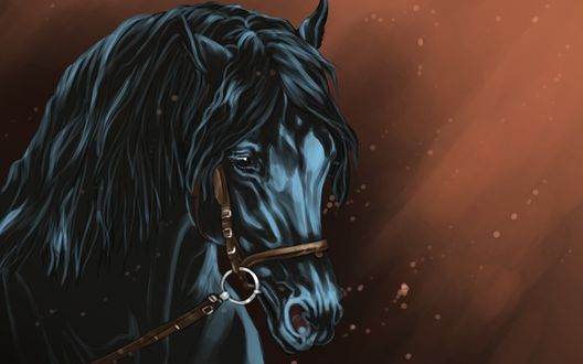 Обои на рабочий стол Черная лошадь на светлом фоне
