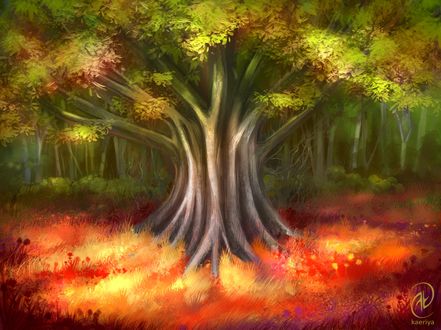Обои на рабочий стол Волшебный лес, by Kaeriya