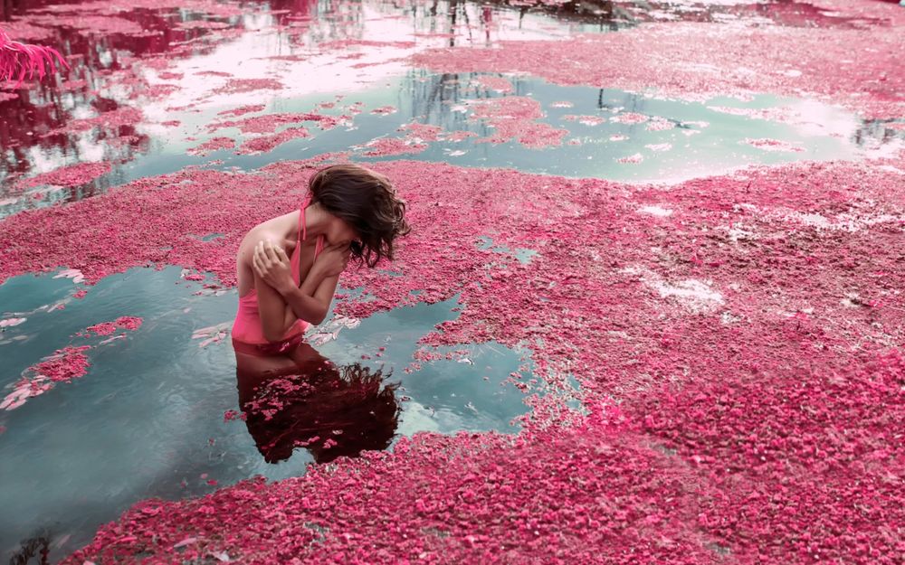 Обои для рабочего стола Девушка стоит в водоеме, покрытом опавшими розовыми цветами