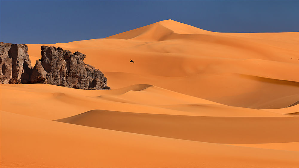 Обои для рабочего стола Золотые пески Сахары на фоне синего неба