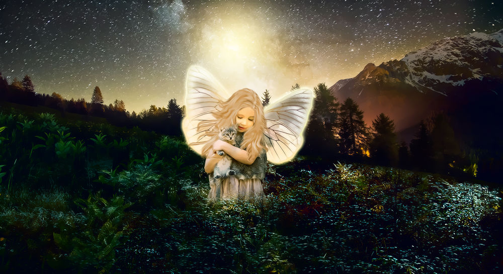 Обои для рабочего стола Девочка с крылышками бабочки с котенком в руках стоит в цветущем поле на фоне гор и ночного неба