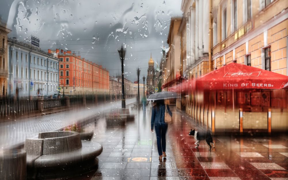 Обои для рабочего стола Девушка под зонтом и собака идут по дождливой улице Санкт - Петербурга