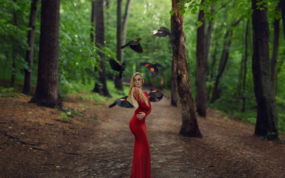 Обои для рабочего стола Девушка в красном платье стоит на дороге в лесу, в окружении птиц