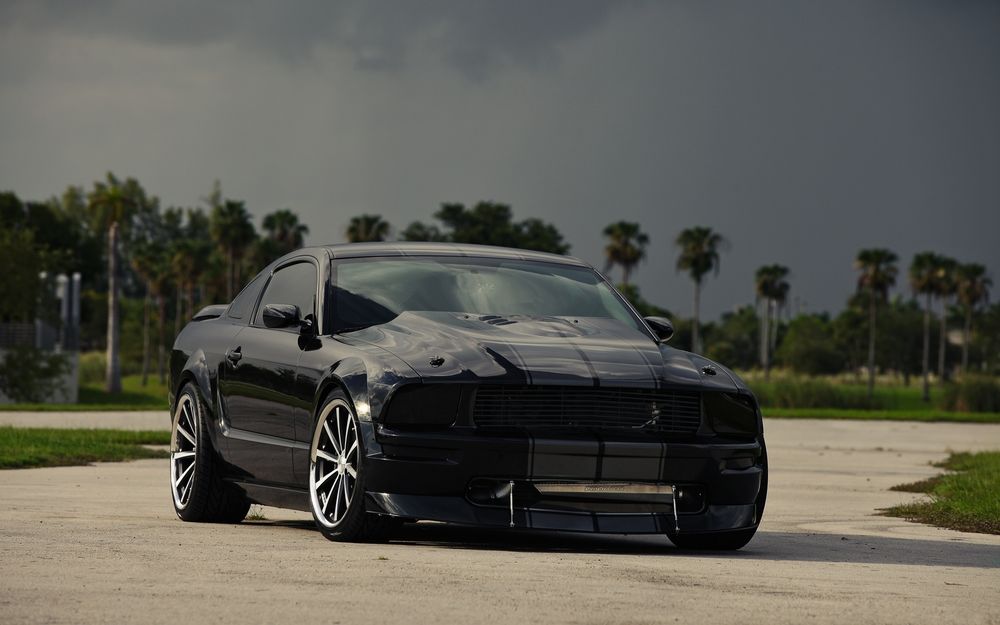 Обои для рабочего стола Ford mustang на дороге на фоне пальм