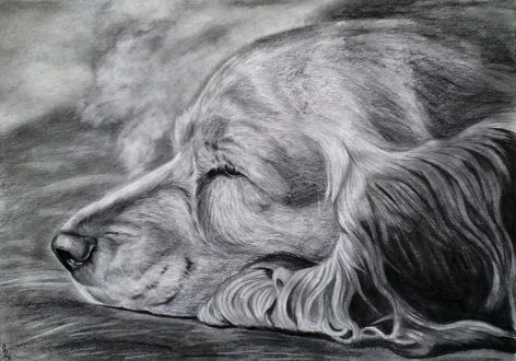 Обои на рабочий стол Спящий пес, by Liraelwolf