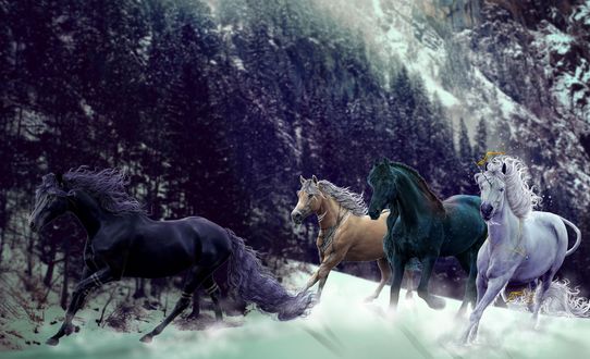 Обои на рабочий стол Лошади и единорог скачут по снегу, by Nanalina20