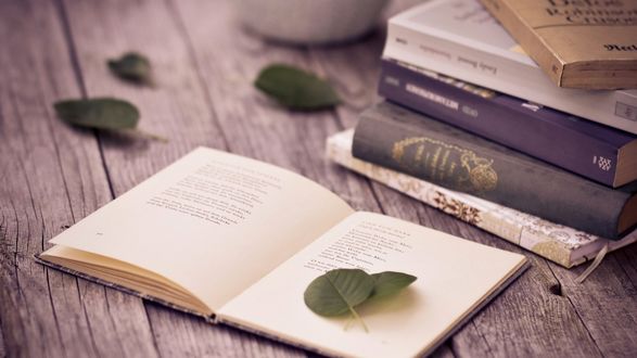 Обои на рабочий стол Раскрытая книга на полу