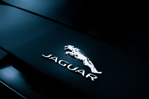 Обои на рабочий стол Логотип jaguar на темном фоне