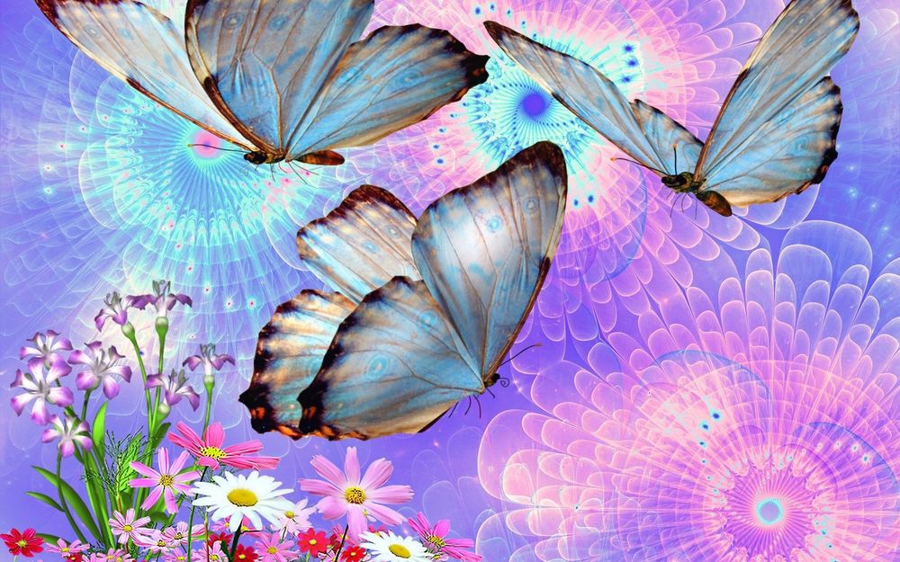 Картины, постеры «Бабочки, насекомые»