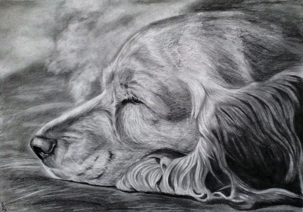 Обои для рабочего стола Спящий пес, by Liraelwolf
