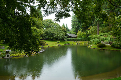 Обои на рабочий стол Обои Nitobe garden, Ванкувер, Канада, пруд, сад
