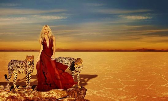 Обои на рабочий стол Певица Shakira / Шакира с гепардами стоит в пустыне на фоне неба