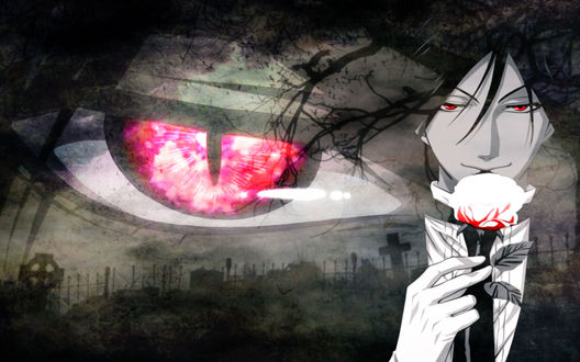 Обои на рабочий стол Sebastian Michaelis / Себастьян Михаэлис из аниме Dark Butler / Kuro Shitsuji / Темный дворецкий