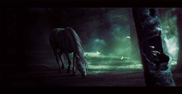 Обои на рабочий стол Лошадь и птица без оперения, by TheCallyBear