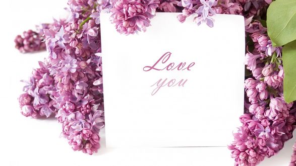 Обои на рабочий стол Букет сирени с любовным посланием Love you / Люблю тебя