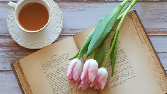 Обои на рабочий стол Букет тюльпанов лежит на раскрытой книге, рядом чашка какао