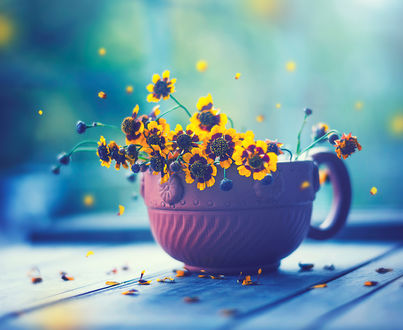 Обои на рабочий стол Чашка с желтым цветами, ву Ashraful Arefin