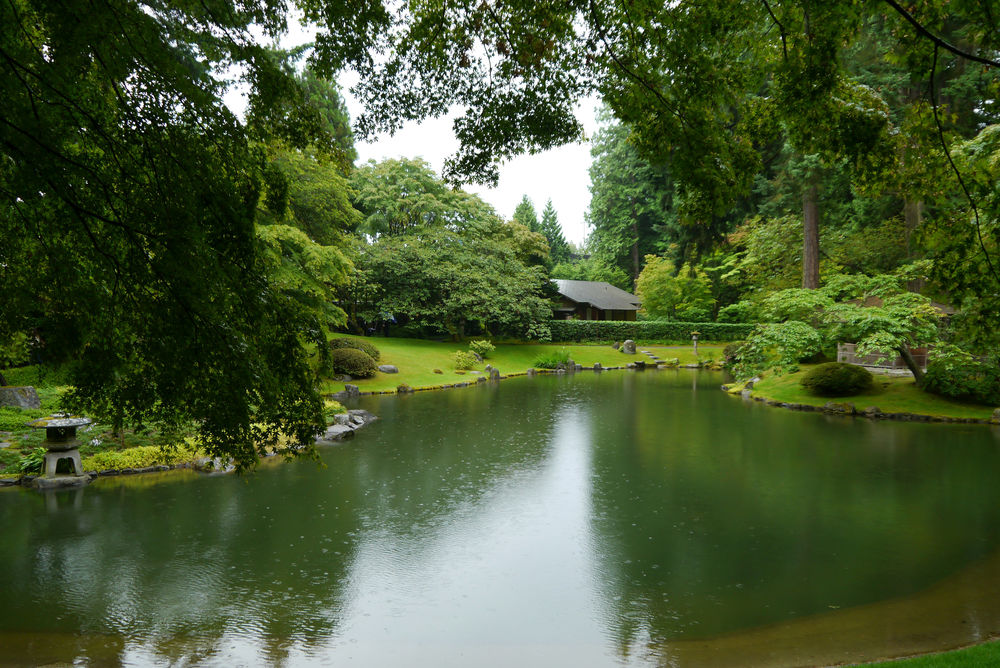 Обои для рабочего стола Обои Nitobe garden, Ванкувер, Канада, пруд, сад