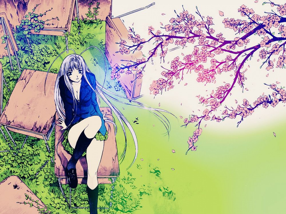 Обои для рабочего стола Maya Natsume / Мая Нацумэ из аниме Tenjou Tenge / Небо и земля